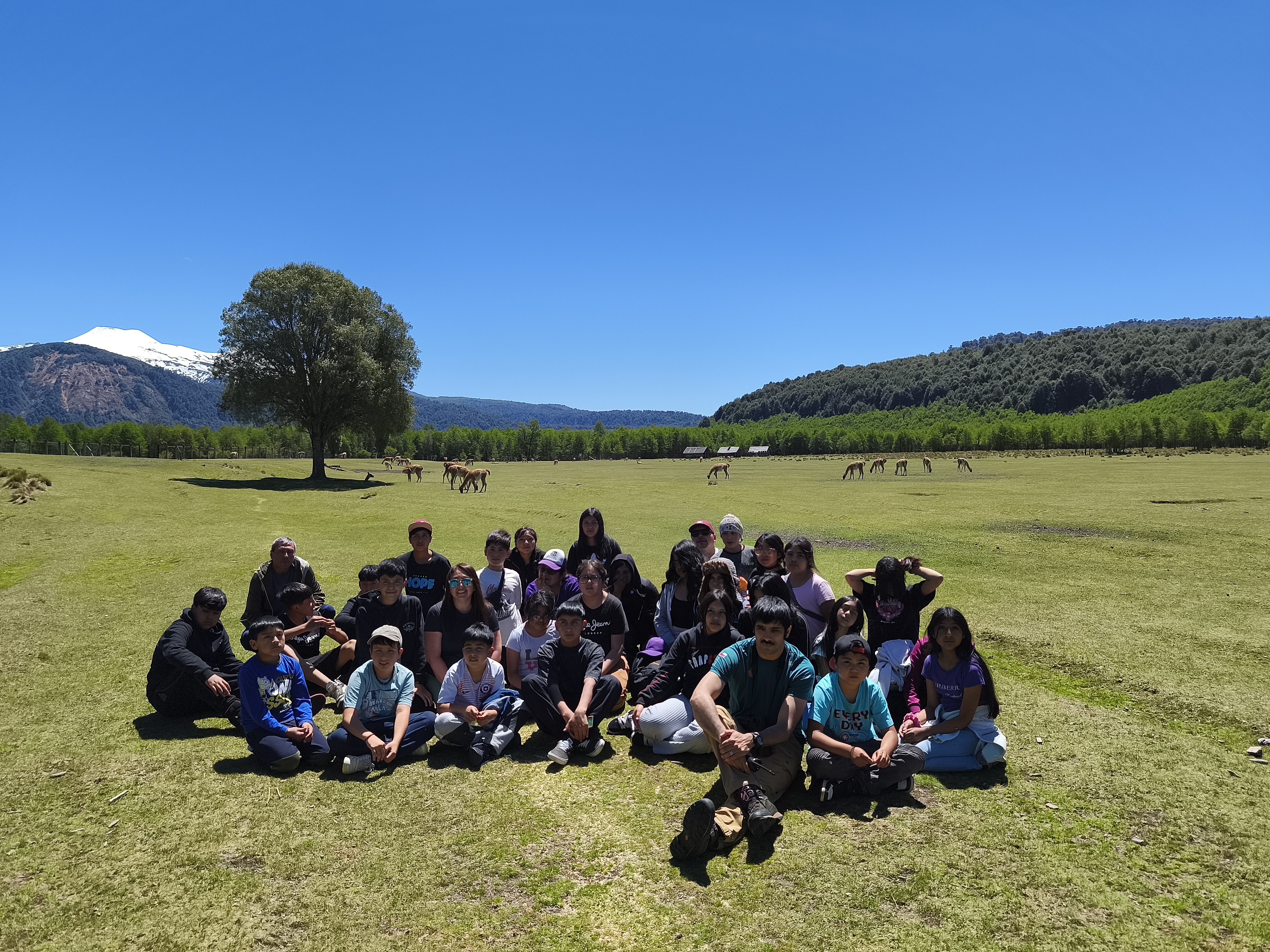 Actividades de conservación